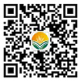 orange橘子平台·(中国区)官方网站
