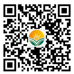 联系orange橘子平台